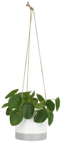 Doniczka/osłonka  No. 3344